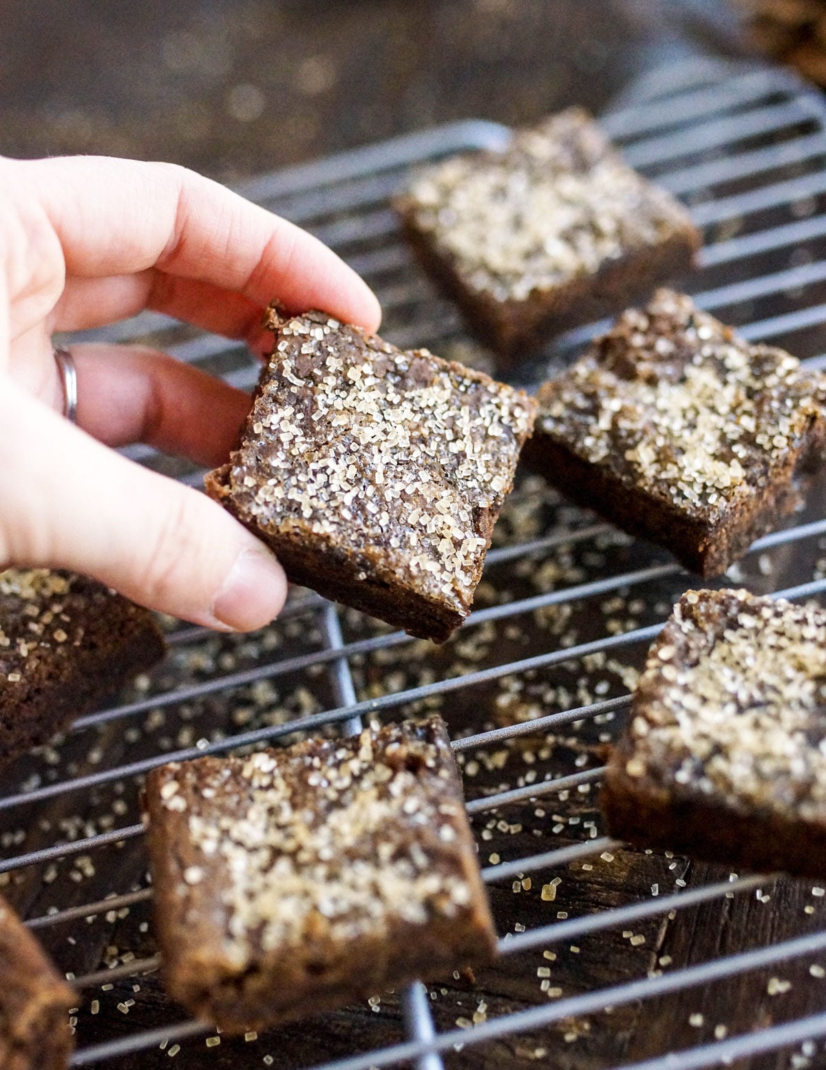 Moist Black Bean Gingerbread Bars: You Won't Taste the Beans!
